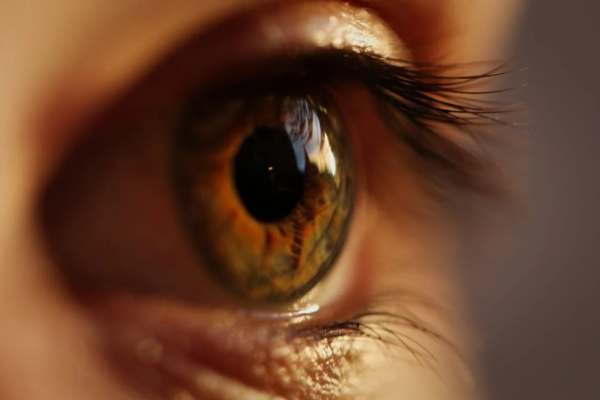 Verleng en krul je wimpers moeiteloos met een lash lift in Rotterdam!